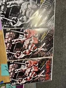 TMNT #1 Set Exc Raphael Variants SIGNED BY MIKE MAYHEW LE 1000 LE 500/500 W Coas - Picture 1 of 7
