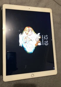 Apple iPad Pro 2nd Gen. 256GB, Wi-Fi / Cellular 12.9 in - Silver - Picture 1 of 3