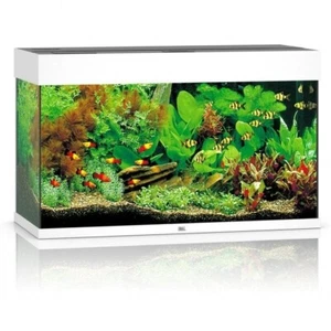 Juwel Rio 125 LED Aquarium LED-Lighting, Filter, Heater | Fish Tank | White - Picture 1 of 8