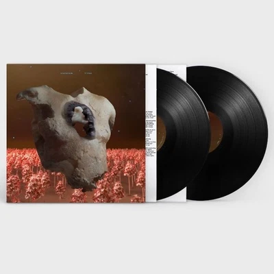 Soap&Skin Torso Double Vinyl LP New & Sealed — 第 1/2 张图片