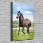 Leinwand-Bild Kunstdruck Hochformat 70x100 Bilder Pferd Feld