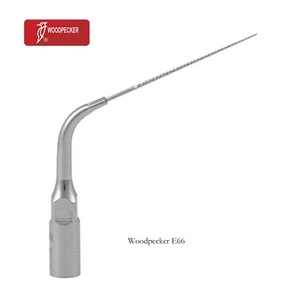 Punta de pájaro carpintero E66 para escalador ultrasónico dental EMS raíces riego de canales, 1 pieza - Imagen 1 de 6