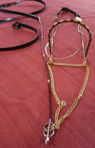 Gorgeous Burgundy Patent Leather Arabian Arab Show Halter matching Lead - Picture 1 of 9
