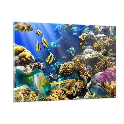 Wandbilder 120x80cm Glasbild Korallenriff Ozean Krabbe Fisch XXL Bilder - Bild 1 von 4