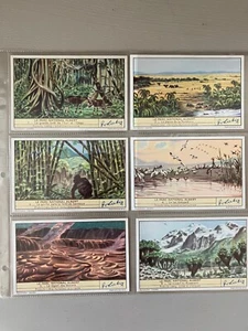 LE PARC NATIONAL ALBERT S 1418 6 Figuren FRA LIEBIG DER NATIONALPARK ALBERTO - Bild 1 von 6