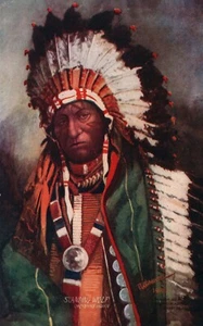 AMERICAN CHEYENNE INDIAN STANDING WOLF ANTIQUE POSTCARD - Picture 1 of 2