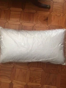 Encompass Feather and Down pillow Brand new in sealed plastic bag king size - Picture 1 of 2