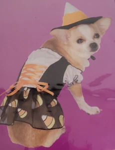 2 Piece Pet Costume Candy Corn Small Size by Holiday Inspirations Hat and Dress - Picture 1 of 6