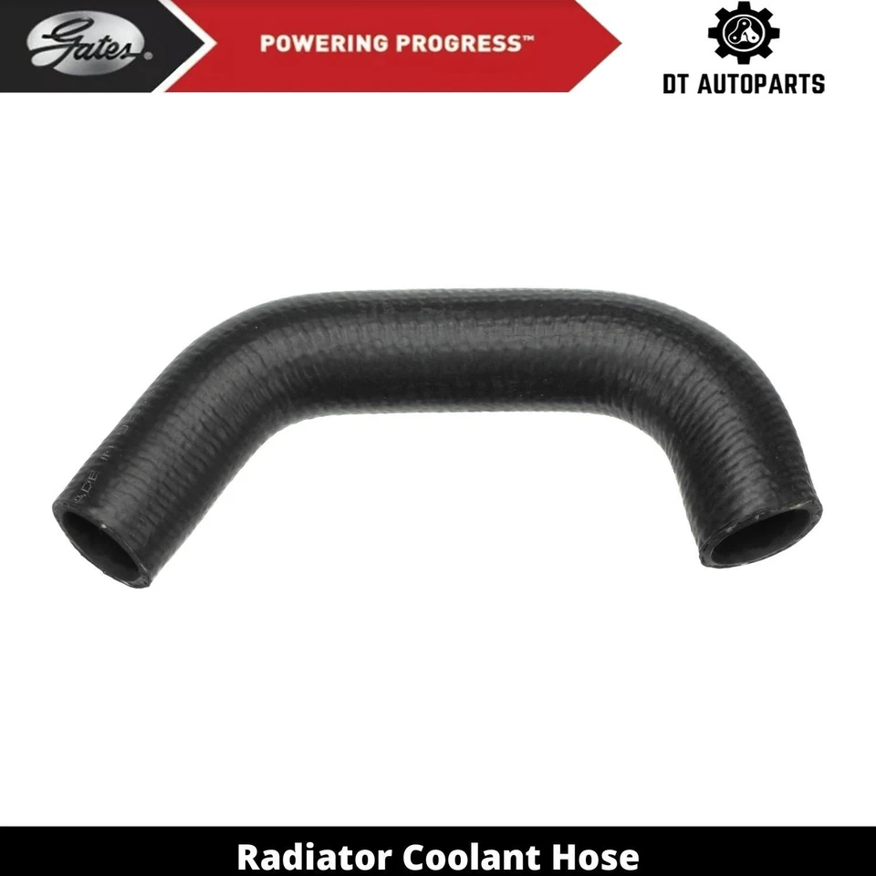 Для 1999-2002 Suzuki Esteem 1,8 л L4 газовый радиатор шланг охлаждающей жидкости нижние ворота 2000 - Изображение 1 из 4