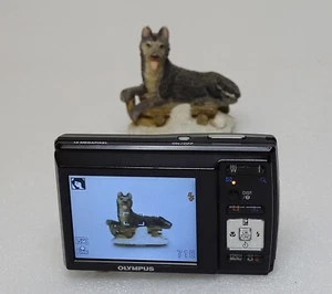 Olympus X-Series X-42 12.0 MP Digital Camera Black - Works Read Desc. - Picture 1 of 8