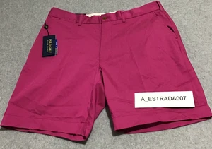 Polo Golf Ralph Lauren Men Size 34 Purple Classic Fit Chino Shorts Stretch RL - Picture 1 of 13