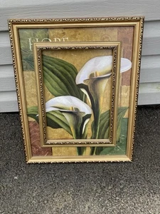 Double Framed Print of White Tall Calla Lilly Flower - Picture 1 of 4