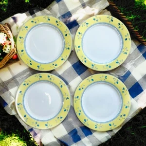 Royal Doulton Blueberry Pattern Salad Plates Yellow Rim Rope Blue Trim Preowned - Picture 1 of 11