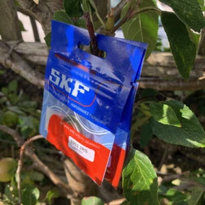 SKF SINGLE BEARING PACK - 2RS Rubber Sealed - CLEARANCE PRICES 6902 6805 etc - Picture 1 of 19