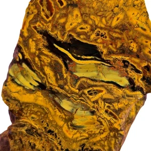 Kaleidoskop Jaspis Platte - organisches Fossilmuster - Oregon Jura - Bild 1 von 6