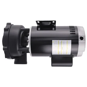 56 Frame Spa Pump Motor 4HP 230V for Spa Pump Equipment 3721621-1D 37216211D - Picture 1 of 12