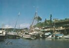 *Chili Postcard-"Port Filled with Boats/Canoes" /Puerto Montt-Angelmo-