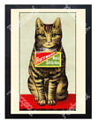 Historic Hoffmann's Rice Starch cat 1920s Advertising Postcard