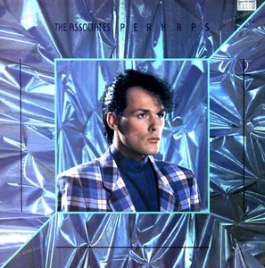 The Associates - Perhaps LP + Innerbag (VG+/VG) . - Foto 1 di 1