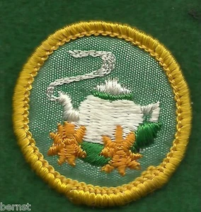 INSIGNIA CADETE NIÑA EXPLORADORA - ESPALDA DE ESTOPILLA - ANFITRIONA - ENVÍO GRATUITO - Imagen 1 de 2