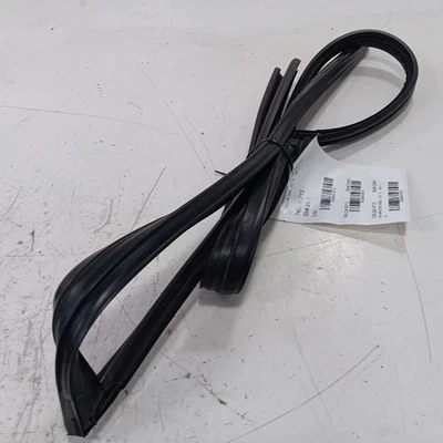 Nissan Maxima Door Glass Window Seal Rubber Right Passenger Front 2014 2013 2012 - Image 1 of 4