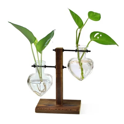 Terrario para plantas Soporte de madera Hidropónico Maceta Bombilla Vidrio Metal Soporte giratorio R Foto 1 de 4