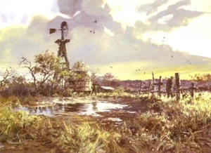 Low Water Doves by John Cowan Dove Hunting South Texas Windmill AP - Picture 1 of 1