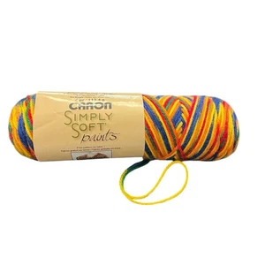 Caron Simply Soft Yarn PAINTS Acrylic 4 Weight Medium 4 Oz NEW Crayon Variegated - Picture 1 of 8