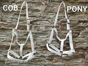 HEADCOLLAR Shetland Small pony, Pony, cob, Full. WHITE, BEIGE, GREY, all colours - Picture 1 of 61