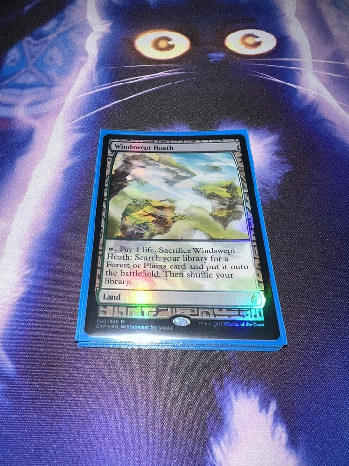 Mtg Singles - Windswept Heath - Battle For Zendikar Expedition - Foil - LP - Image 1 of 1