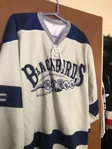 VERY RARE BLACKBIRDS MENS SIZE MEDIUM HOCKEY STYLE JERSEY PROMOTIONAL - Picture 1 of 8