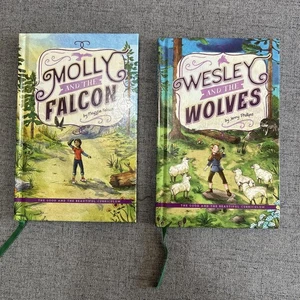 Good And Beautiful Readers- Reading Booster C Set- Level 2 - Picture 1 of 8