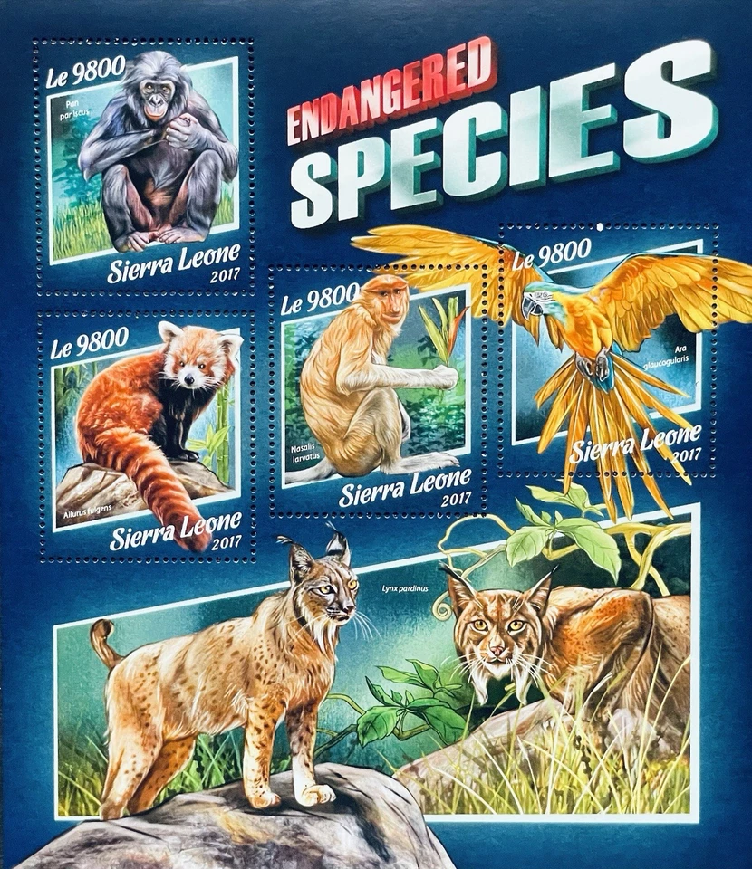 Sellos de especies en peligro de extinción de Sierra Leona MNH 2017 ANIMALES SALVAJES VIDA SILVESTRE GUACAMAYO LINCE Foto 1 de 1