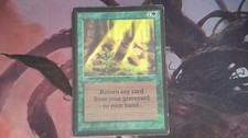 1X Regrowth Limited Edition Beta SEE PICTURES MTG CARD