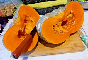 12 Pumpkin Seeds "Jap / Kent" - Grow your own - Fresh is Best -FREE POSTAGE - Picture 1 of 15