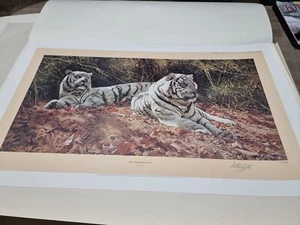 WHITE TIGERS, EVER WATCHFUL, TIGER by ANTHONY GIBBS Limited Edition PRINT - Picture 1 of 8