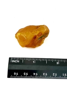 Natural Golden Baltic Amber Specimen - 8.28g - Picture 1 of 2