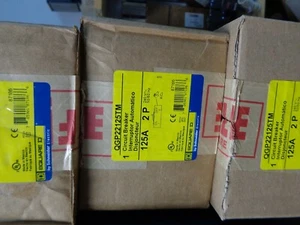 TOTALMENTE NUEVO EN CAJA SQUARE D POWERPACT QGP22125TM CON LENGÜETAS DE CARGA. - Imagen 1 de 1
