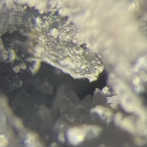 Coquandit Kristall Micro Pereta Mine Grosetto Toskana ITALIEN  - Bild 1 von 13