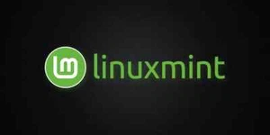 Linux Mint 22 XFCE Edition - Bootable Live CD/DVD - 64-bit - Picture 1 of 1