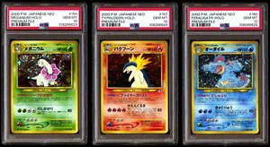 PSA 10 SET Meganium Feraligatr Typhlosion Neo Premium File 1999 SEQUENTIAL - Picture 1 of 7