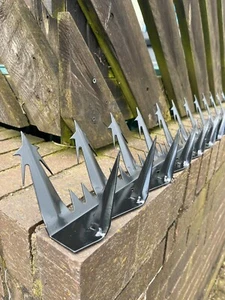 Black Razor Point Anti-Climb Wall Spikes in (1.2M) Home Security - Picture 1 of 5