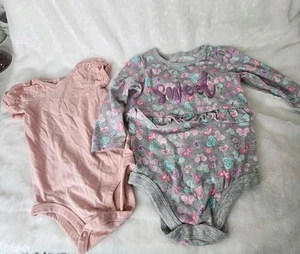 OshKosh & Garanimals Baby Girls Pink Floral Bodysuit Ruffle Coquette 12-18 M - Picture 1 of 11