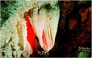 The Great Heart of Timpanogos Cave Stalagtite American Fork Canyon Utah Postcard - Picture 1 of 2