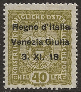 AUSTRIA N10 - 40h Occupation Stamp - MH - Picture 1 of 2