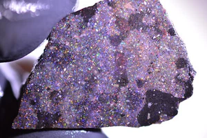 40ct 35x25x10 Black Basalt Matrix Opal Rohstein Rough/Rubbed/Sliced Honduras Gem - Bild 1 von 4