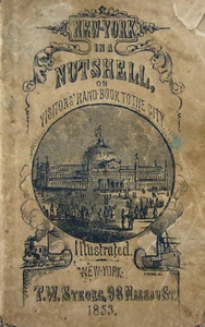 Antique New York Travel Guide History Illustrated 5th Avenue Brooklyn 1853 - Picture 1 of 17