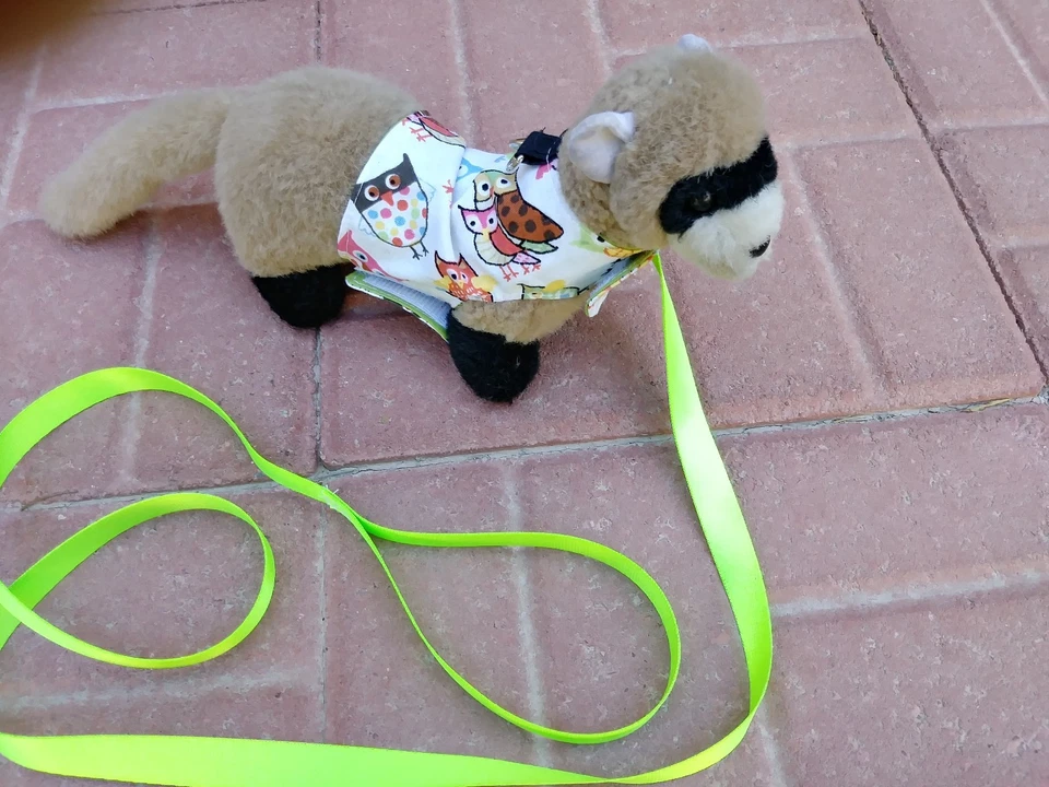 Ferret Harness and Matching Lead - Colorful Owls - M/L — 第 1/1 张图片