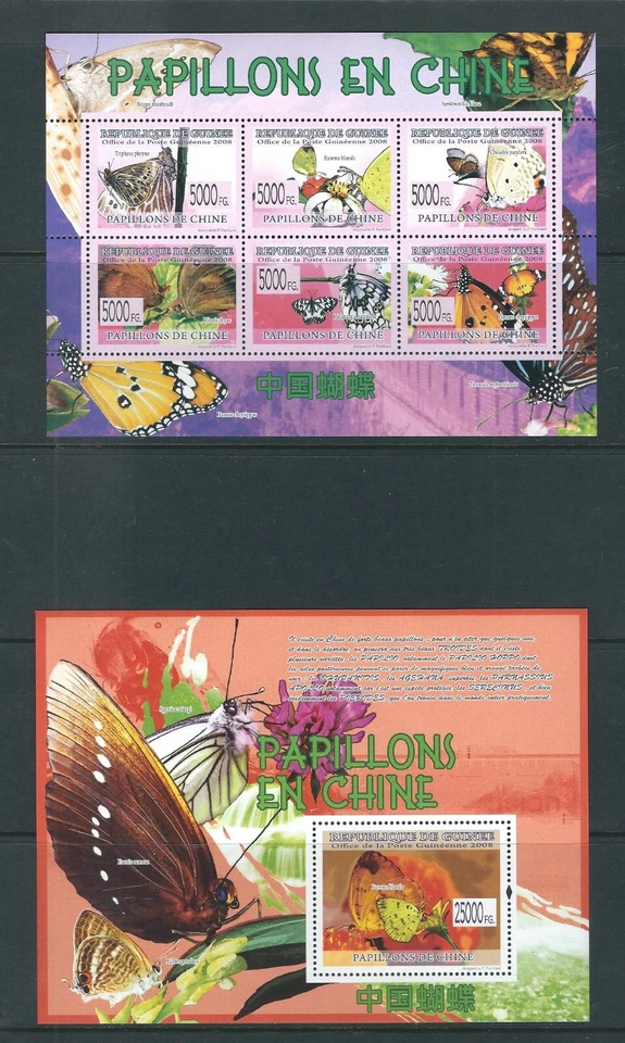 Guinea / 2008 Issue , Butterflies .  MNH - Image 1 of 1