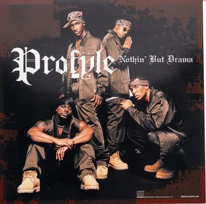 PROFYLE NOTHIN'BUT DRAMA Album Cover Promo 12x12 flaches doppelseitiges Poster - Bild 1 von 2